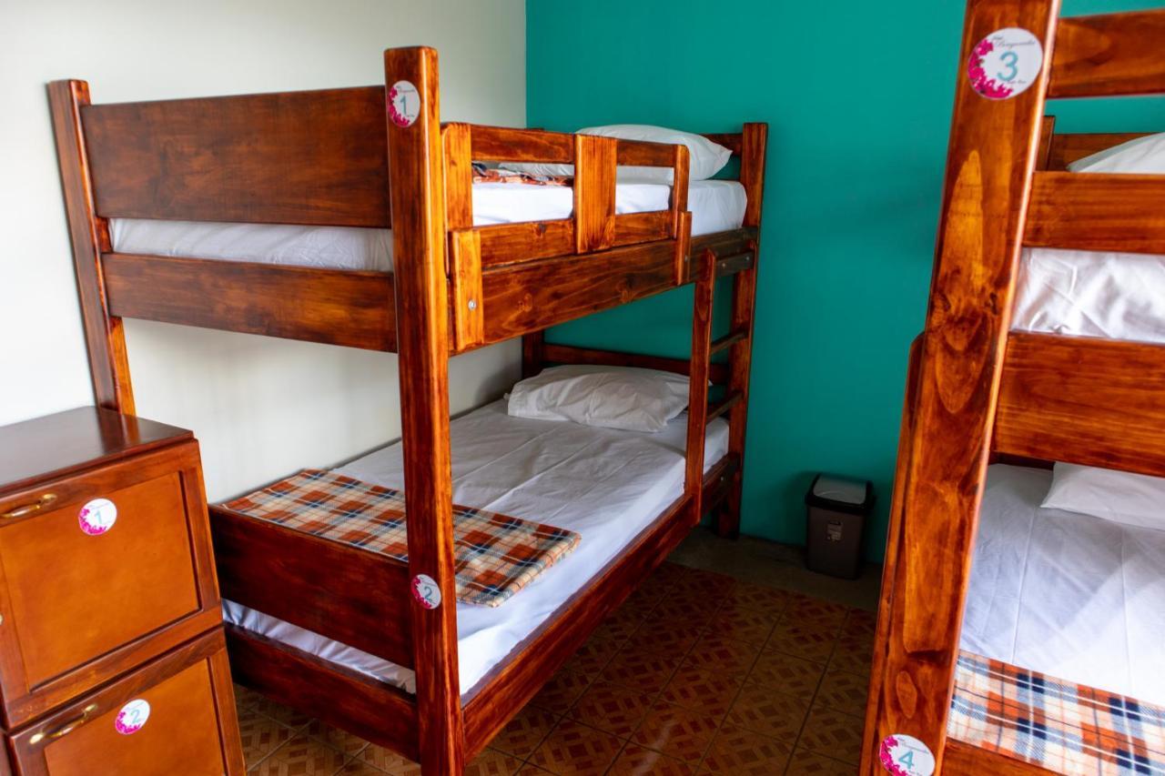 Hostel Bouganvilia Bed And Breakfast San Ramón Exterior foto